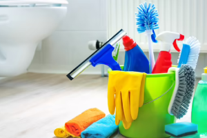 Messie Reinigung Trier